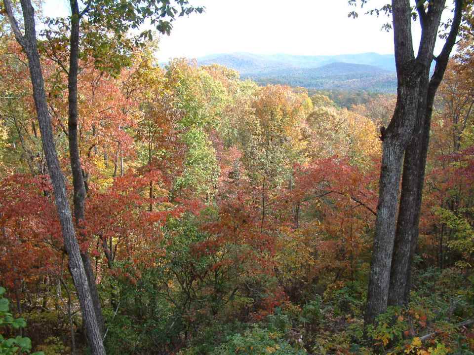 Wagon Wheel Ridge Pics and Views